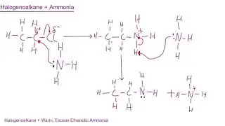 Edexcel A-Level Chemistry Topic 6: Halogenoalkanes