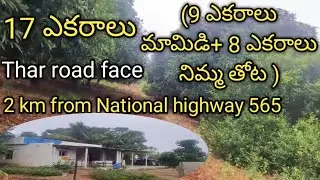 Land for sale 17 Acre's//Rapuru Mandalam//Nellore district//9676114449