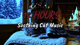 🎄 12 Hours Cat Sleep Music LIVE 😺 Soft Purring & Winter Fireplace Calm for Deep Healing Rest