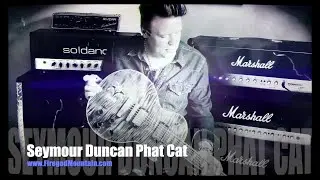 Seymour Duncan - Phat Cat P90