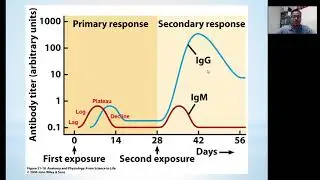 Immunological Memory. Immunology MLT413 / NAD523