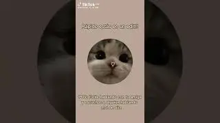 ¡Rápido estas en un edit!
