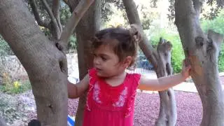 עוד אחד לא ברור