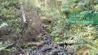 Barlow Wayside Park Guide | Sandy, Oregon