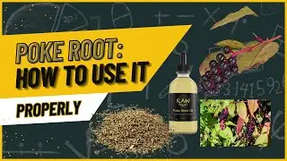 ✅HOW TO USE POKE ROOT PROPERLY✅