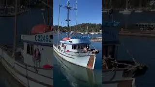 Our Family&rsquo;s 50 year old Wood Fish Boat #commercialfishing #familyfishing #BC