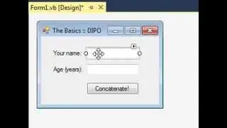 Variables, Data Types, Assignment Statements and Concatenation