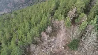 taennchel Rocher à la paix d'Udine