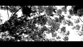 SmoothVee (Ft. Delicia) - Slow Down (Net Video)