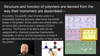 Properties of Biological Molecules