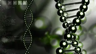 Is there a gene for language?