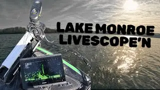 Catching Lake Monroe Crappie! Watch them BITE!