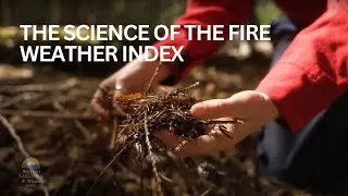 The science behind the Fire Weather Index