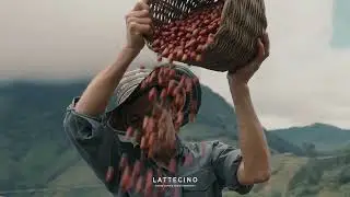 Lattecino - A journey of coffee, travel and human connection