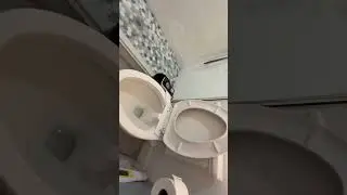 SAMDORA BIDET (THE STANDARD REVIEW)