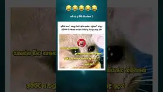 SL FUNNY SHORT 😂 #shortsviral #slfunnyvideo #slfunny #slcomedy #slmemes