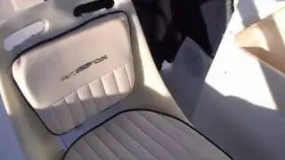 161 sea fox video