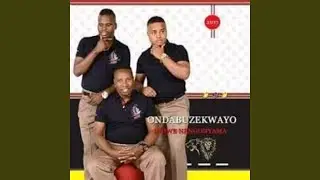 INGWE NENGONYAMA