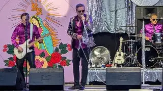 Me First and the Gimme Gimmes - I Will Survive Live | Arena Wien 2024