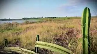PROPIEDAD EN SAN JUAN DEL PARANA 1