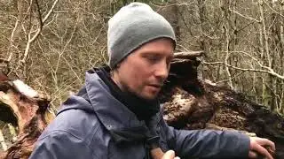 Video  Sm&aring;folk