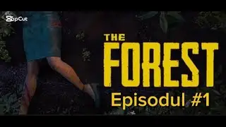 The forest!Episdoul 1!Cu ditree legenda desigur.Avionul se prabuseste