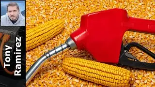 Discover Where to Find Bioethanol: Your Ultimate Guide to Sources and Suppliers