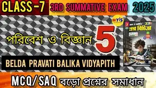RAY AND MARTIN QUESTION BANK CLASS 7 PARIBESH|MODEL-5|page 234|3rd summative exam