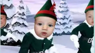 The 12 Days of Christmas from the Lawrence Family
