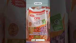 Perbedaan pupuk KN03 Merah dan KNO3 Putih