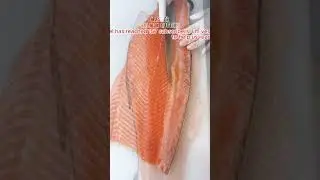 How to Fillet a Whole Salmon | How to Make Sashimi #7 #salmonasmr #salmonsashimi #salmoncutting