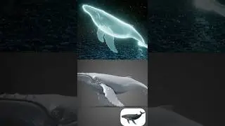 With ChatGPT, Rodin Gen-2, and Cinema 4D, you can create a holographic whale in just 15 minutes!
