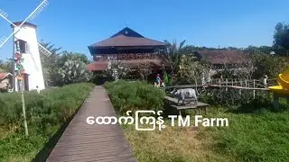 ထောက်ကြန့် နား က TM FARM