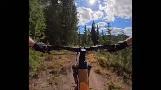 Mill creek trail