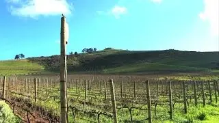 Klassische Musik f&uuml;r Wein mit besonderer Note