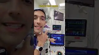 Что у тебя внутри шеи?