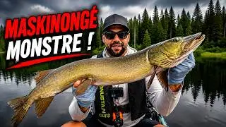 MASKINONGÉ MONSTRE – COMBAT ÉPIQUE !