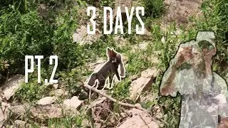 Baby Fox Learning To Hunt!!! (plus fishing of course) -- Expedition Bronzeback Pt.2