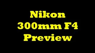 Nikon 300mm F4 Preview