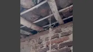 Moal poho Kanu nulungan