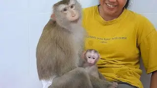 Adorable Mommy Luna With Baby Luka Look To Daddy While Calling