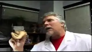 TNA  The Kevin Nash X Division Clinic