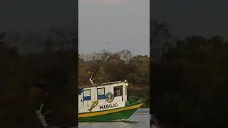 🛶 #marujo #river #fun #boat #trip #zooming #s&atilde;ofrancisco #janu&aacute;ria #rio #barco #passeio #viagem #c&eacute;u