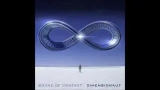 Sound of Contact - Not Coming Down