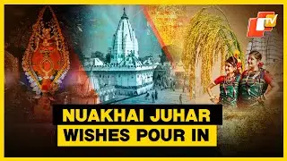 Nuakhai Juhar: President Murmu, PM Modi, CM Majhi, BJP VP Jay Panda, Leaders Extend Festive Wishes