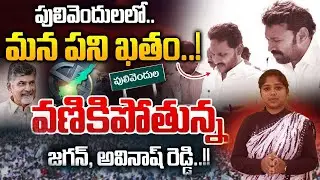 Pulivendula ZPTC Update - టిడిపి Vs వైసీపీ: పులివెందుల యుద్ధం!: TDP Vs YSRCP | YS Jagan | DAR FOCUS