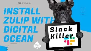Get Started with Slack-Like Platform, Step-by-Step Zulip Installation Guide | Tech In Spades