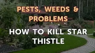 How to Kill Star Thistle