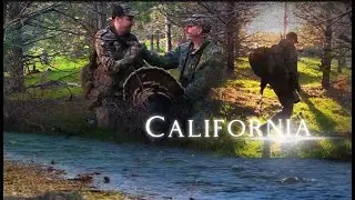 Hollow Ground Season 1 Episode 1: A California Rio in Your Lap