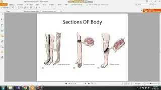 Transverse Section | Oblique Section | Longitudinal Section | General Anatomy | hindi